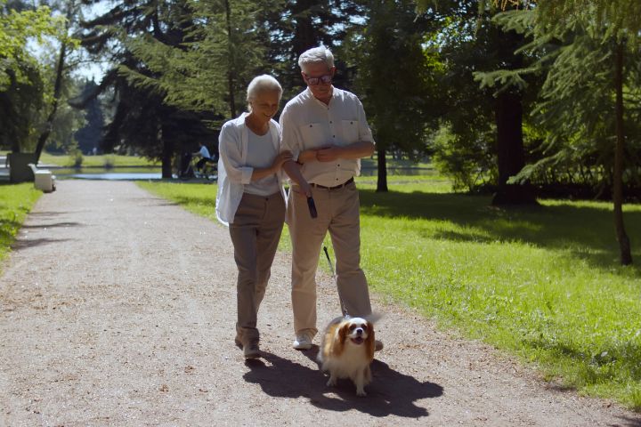 Older couple walking their dog together in a park