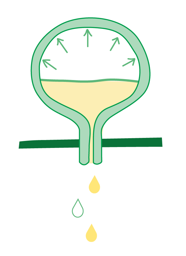  urinary incontinence
